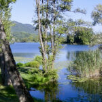 Water meets Land photo